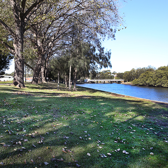 Cooks River Foreshore at Mackey Park